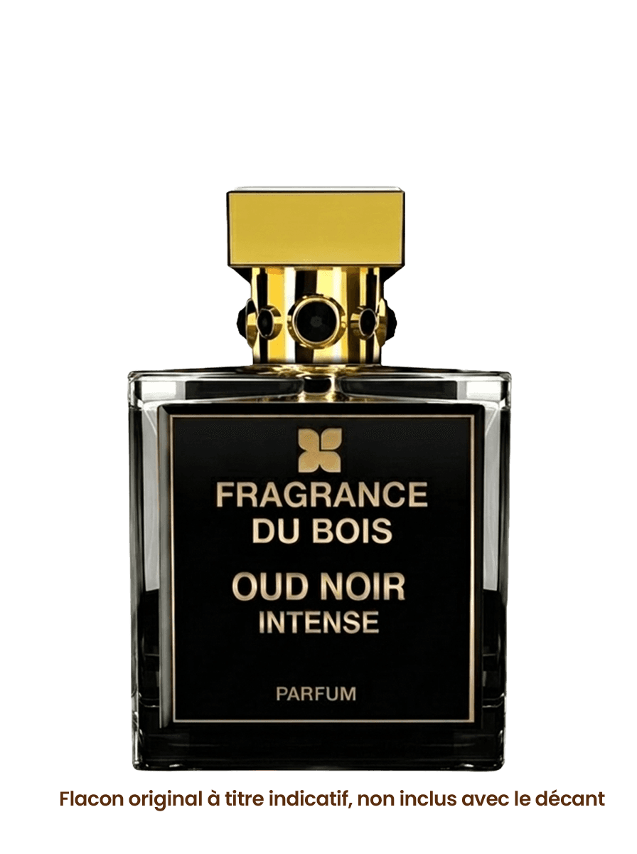 FRAGRANCE DU BOIS OUD NOIR INTENSE vue alternative